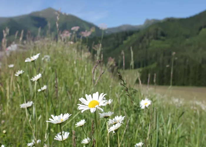 In Am Skilift Dağ evi