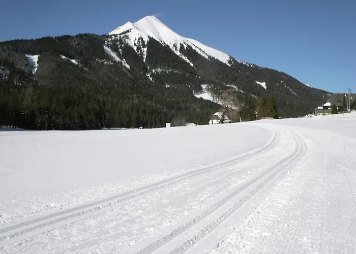 Dağ evi In Am Skilift *