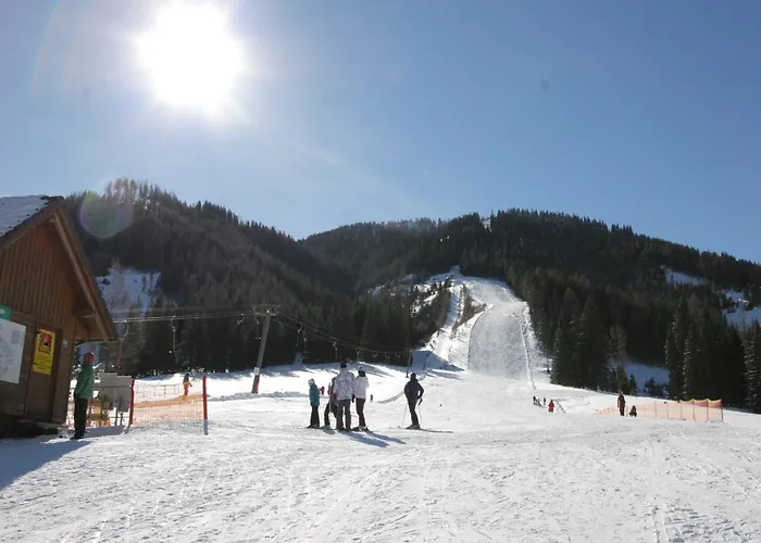 In Am Skilift Dağ evi